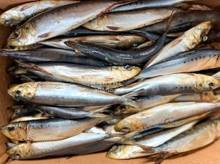 Диспенсеры для снеков: Сельдь Иваси х\к