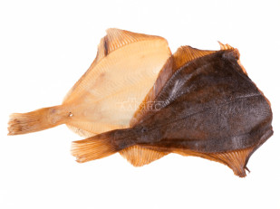 Толстолобик (бабочка) холодного копчения: Камбала холодного копчения